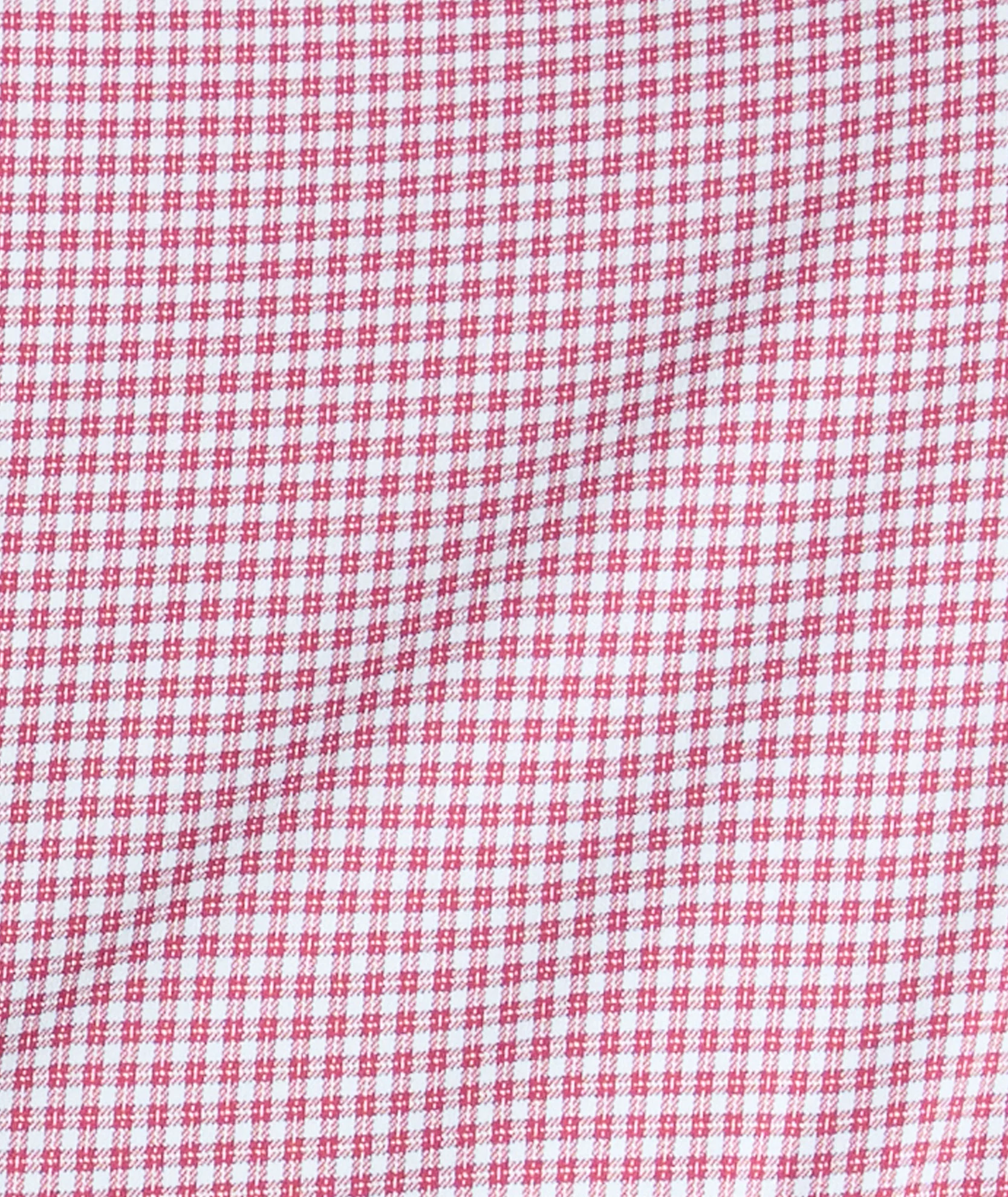 Performance Lafior Shirt - FINAL SALE - Image 3